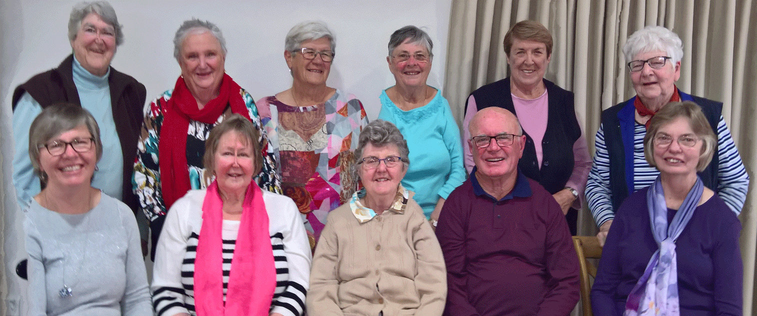 2019-Robyn-retirement-lunch–Group—3—wide-short