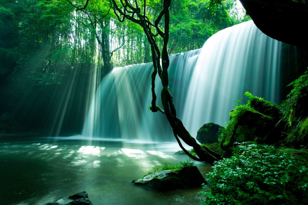 beautiful_t20_wQXe70 (1)