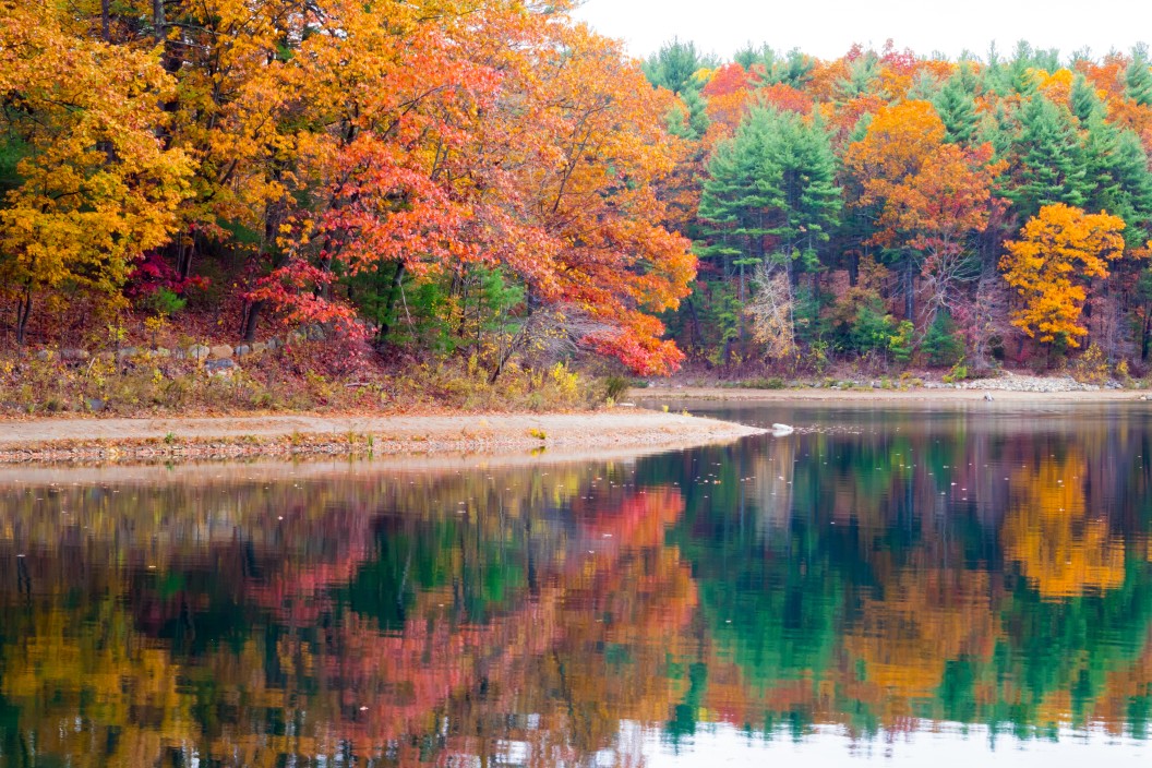 nominated-autumn-landscape_t20_W72axK